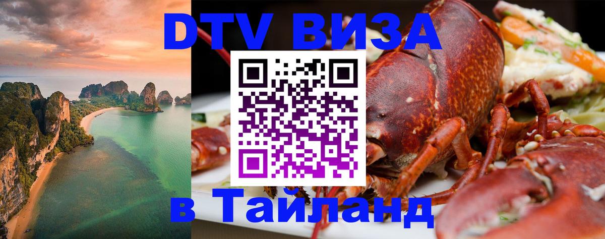 Оформление DTV визы под ключ: стоимость и тарифы, только загранпаспорт - Сараево  21.11.2025 